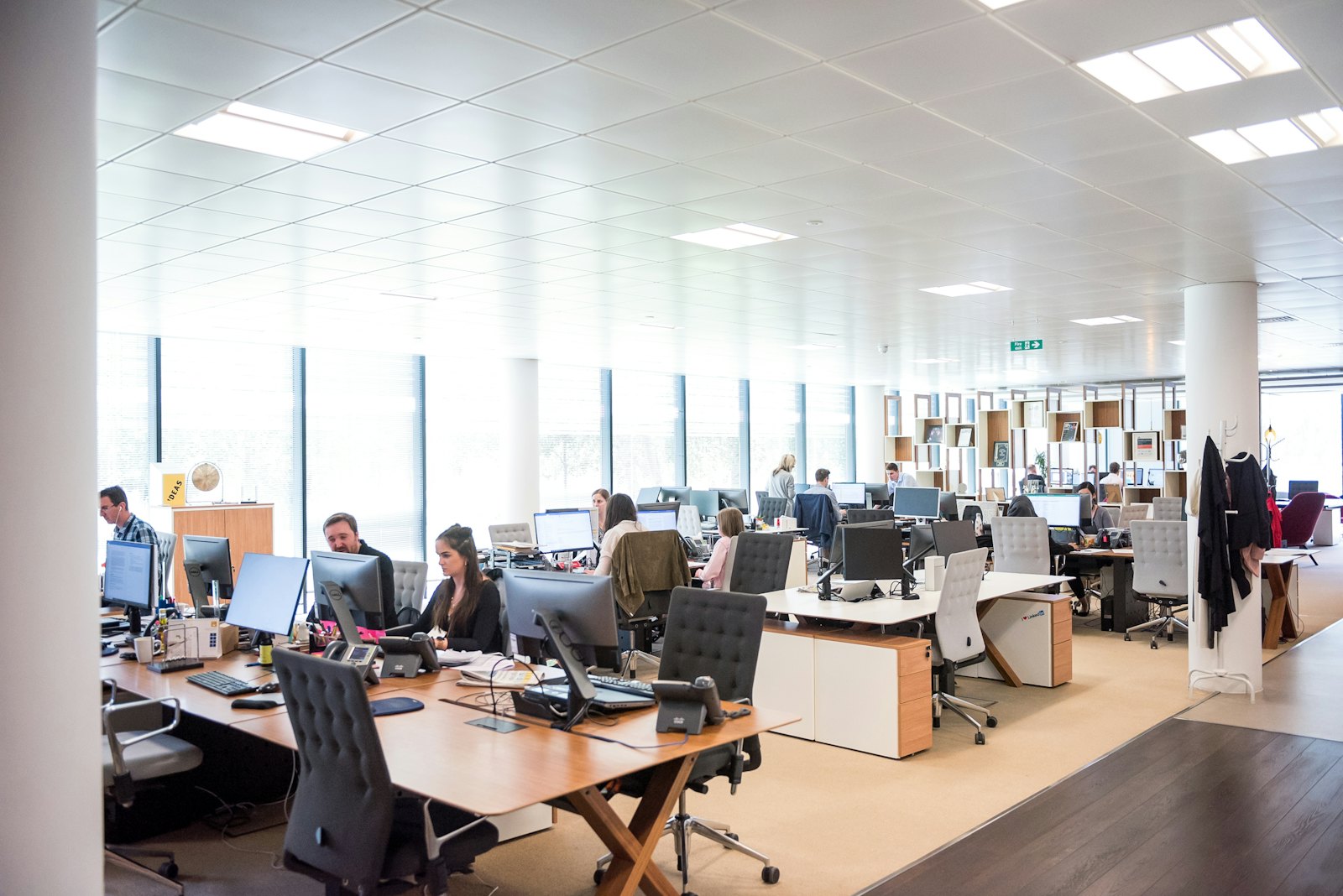 A calm, well-lit open-plan office